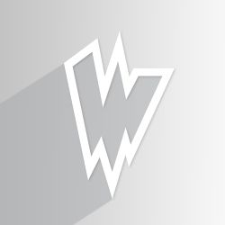 Waldoch Logo placement