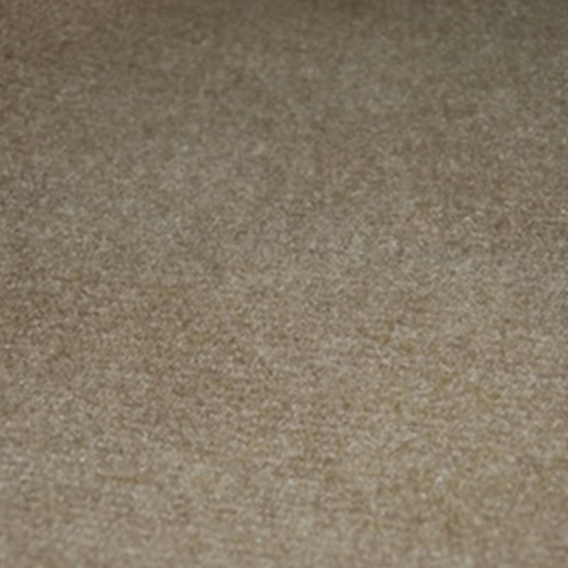 Carpet Tan Flooring