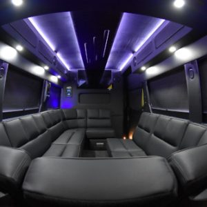 promaster_limo_small_feat1